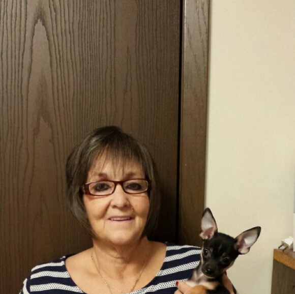 Meet your Posher, Connie - Picture 1 of 1